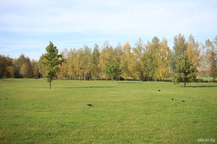 Буйническое поле, Могилев