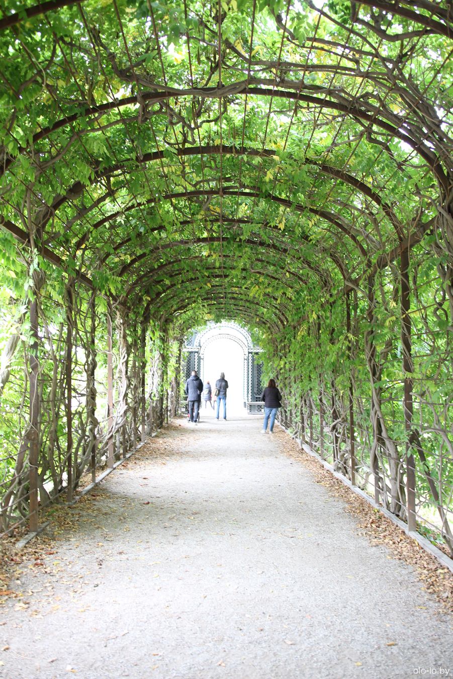 сады дворца Шенбрунн