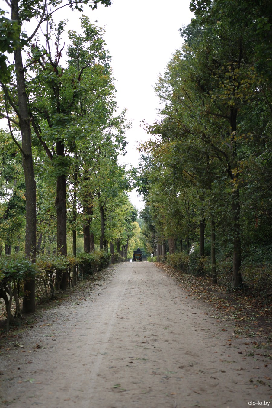дорога в парке Шенбруннер Шлос