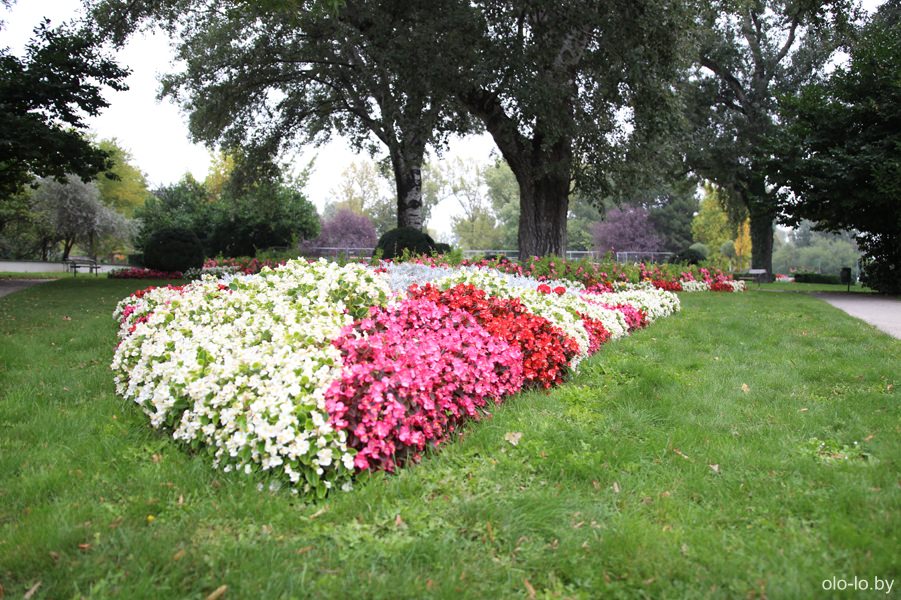 Дунайпарк в Вене
