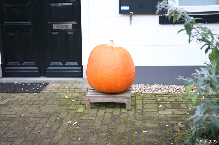 тыква, Нюэнен